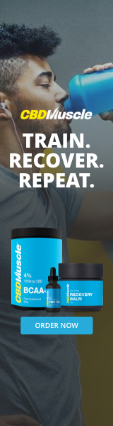 160x600 -   BCAA- TRAIN.RECOVER.REPEAT – 5